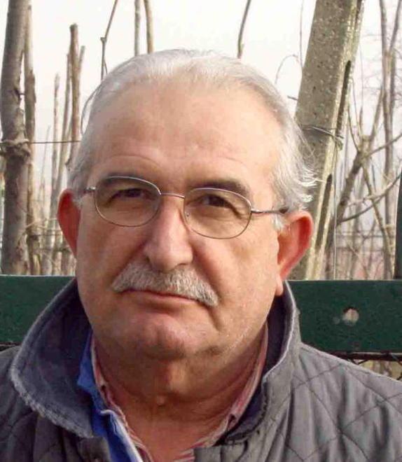 Gradazione e quantità Annata da incorniciare per la vendemmia 