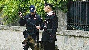 Un controllo dei carabinieri