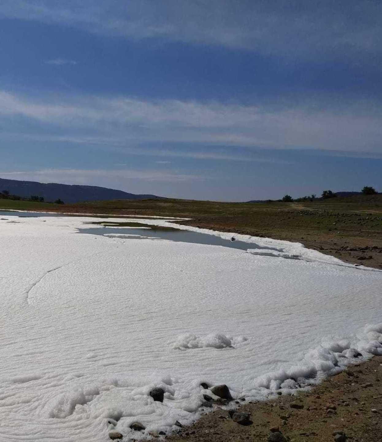 Vaccini, 1200 controlli I Nas monitorano 20 casi 