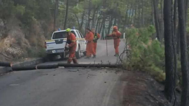 Rogo, riaperta la strada sul Serra dopo check-up su alberi e caduta massi