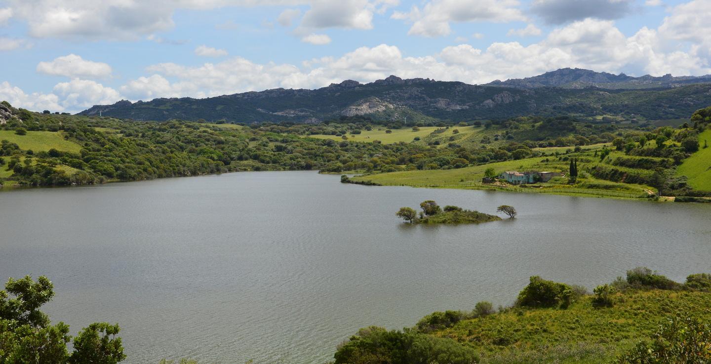 Diga del Liscia super piena, riserve per almeno 2 anni 