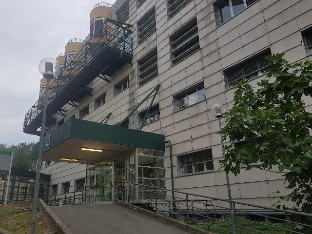 Castelnuovo, donna punta da un insetto «Rischio la vita per un virus» 