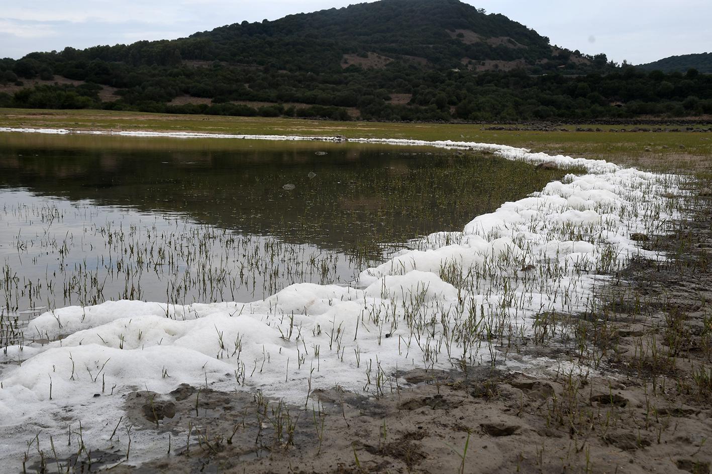 Omodeo invaso da un mare di schiuma, il sindaco: «È inquinamento» 