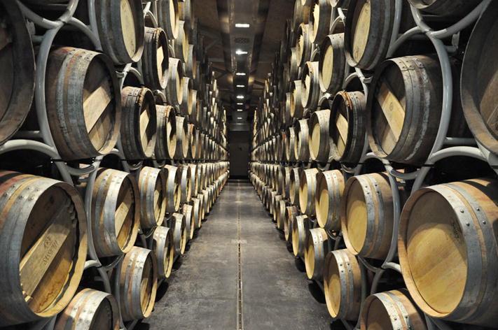 Il Sassicaia 2015 eletto miglior vino dell’anno 