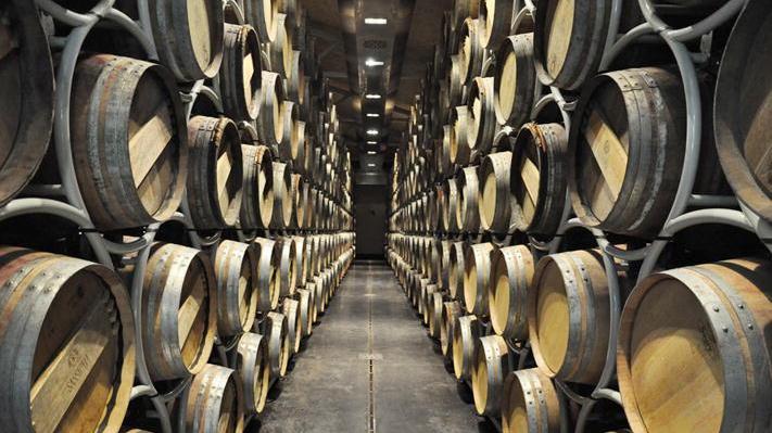 Il Sassicaia 2015 eletto miglior vino dell’anno