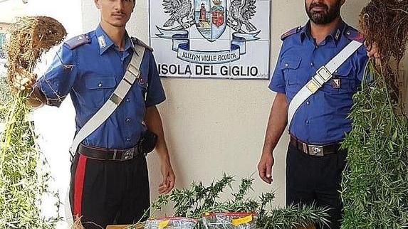 Coltiva marijuana accanto al cimitero Operaio nei guai