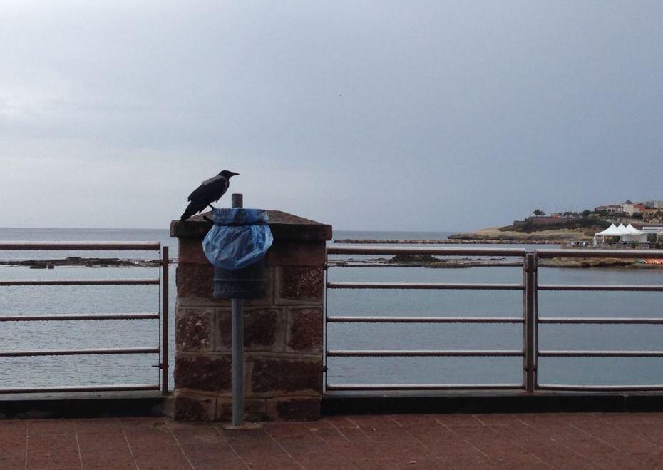 Febbre del Nilo, nuove prescrizioni 