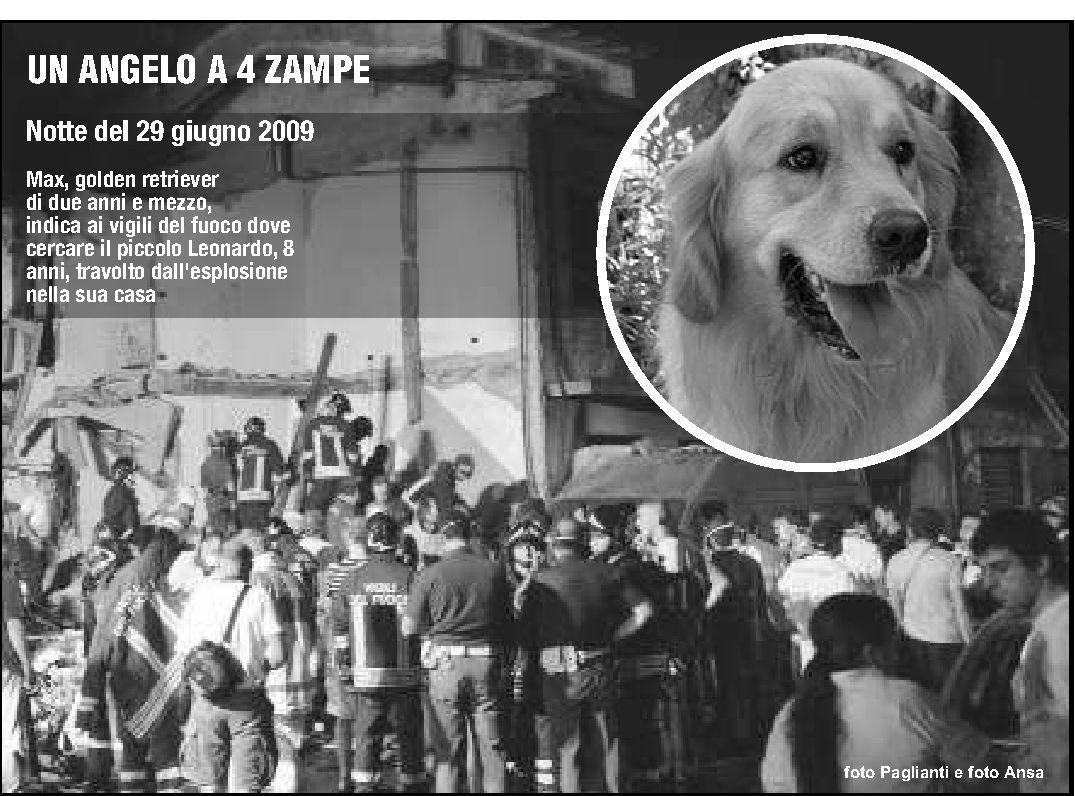 <strong>BRAVISSIMO. </strong> Max, cane-soccorritore che ha salvato il bambino, si fa coccolare da Giancarlo Zoppi