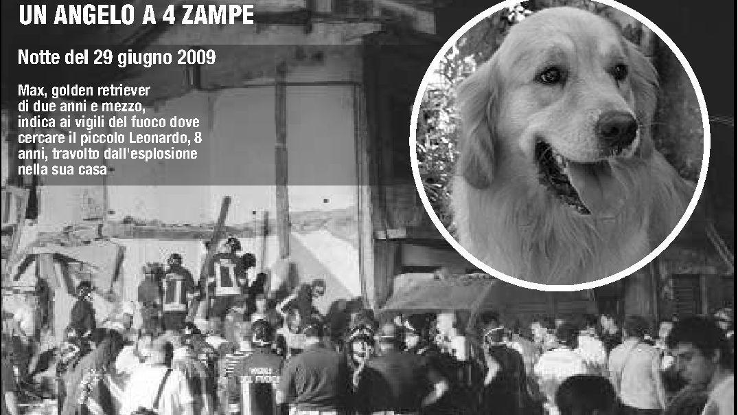 <strong>BRAVISSIMO. </strong> Max, cane-soccorritore che ha salvato il bambino, si fa coccolare da Giancarlo Zoppi