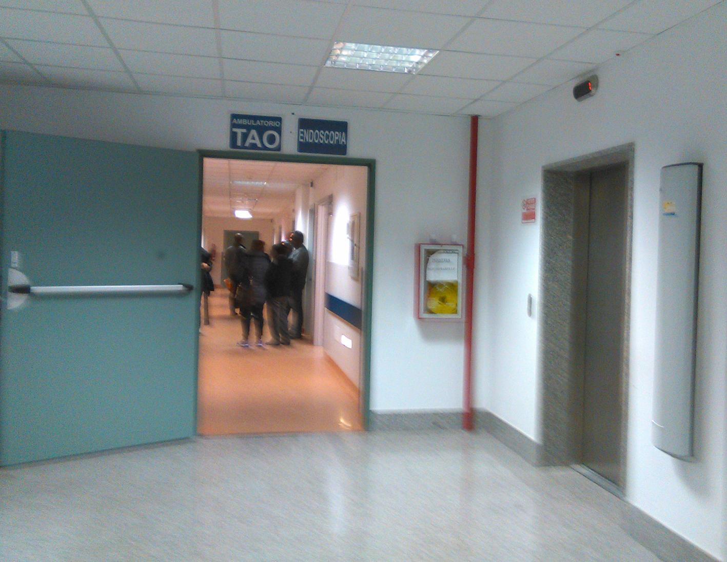 Febbre del Nilo, migliorano le condizioni degli anziani infettati