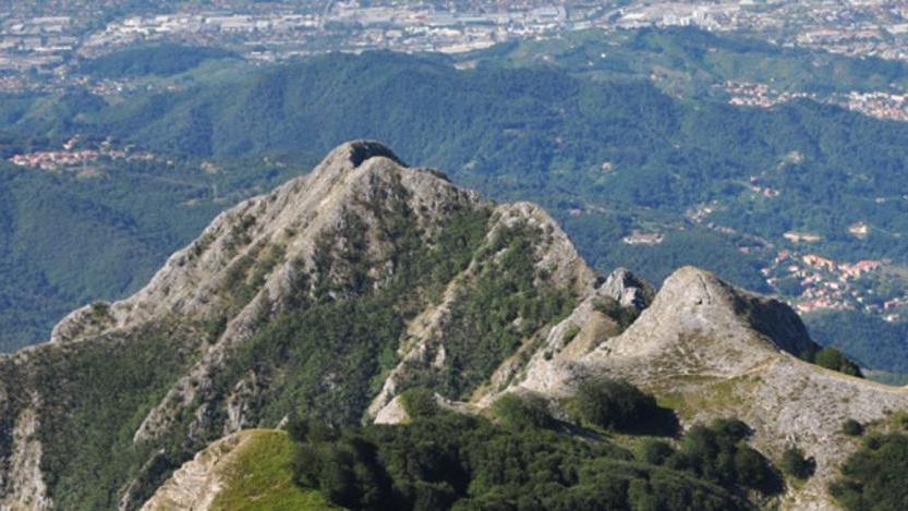 Parco, avviso per undici piani di gestione