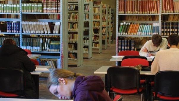 Gli studenti imparano a usare le biblioteche