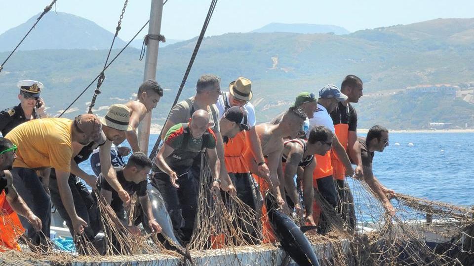 La mattanza di Carloforte premiata a Venezia