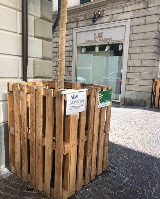 Le fioriere scambiate per il secchio dei rifiuti