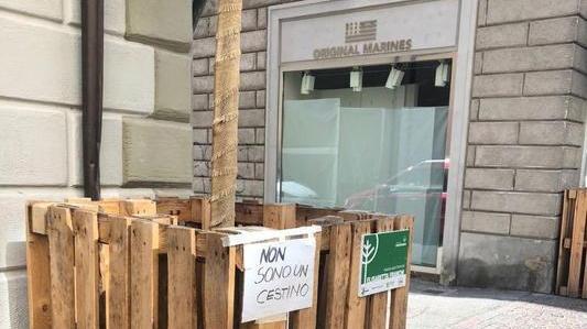 Le fioriere scambiate per il secchio dei rifiuti