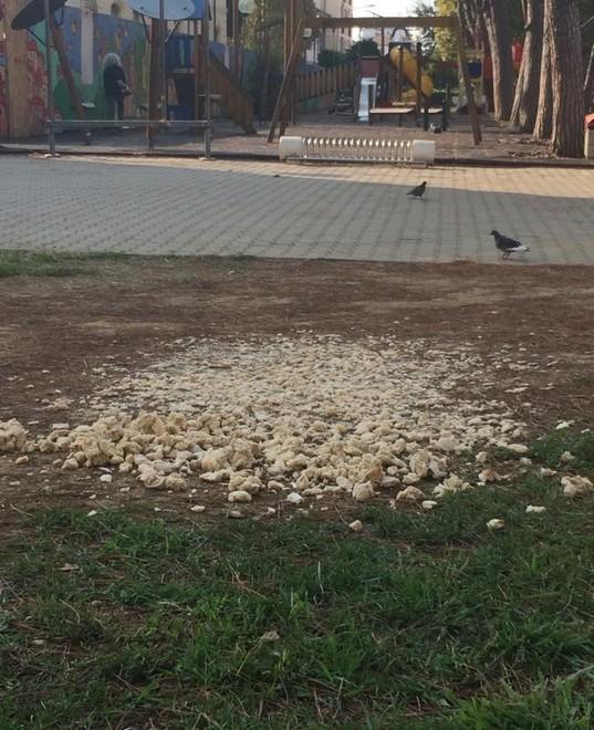 Panchine sporche, sigarette e pane lasciato per i piccioni 