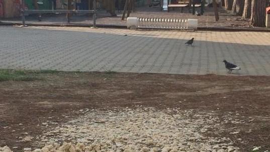 Panchine sporche, sigarette e pane lasciato per i piccioni