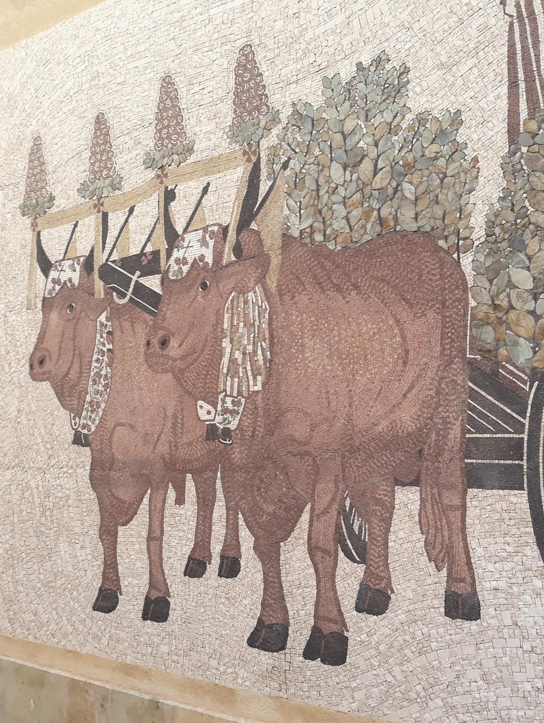 Mosaici in via Diego Contini: un riconoscimento all’architetto