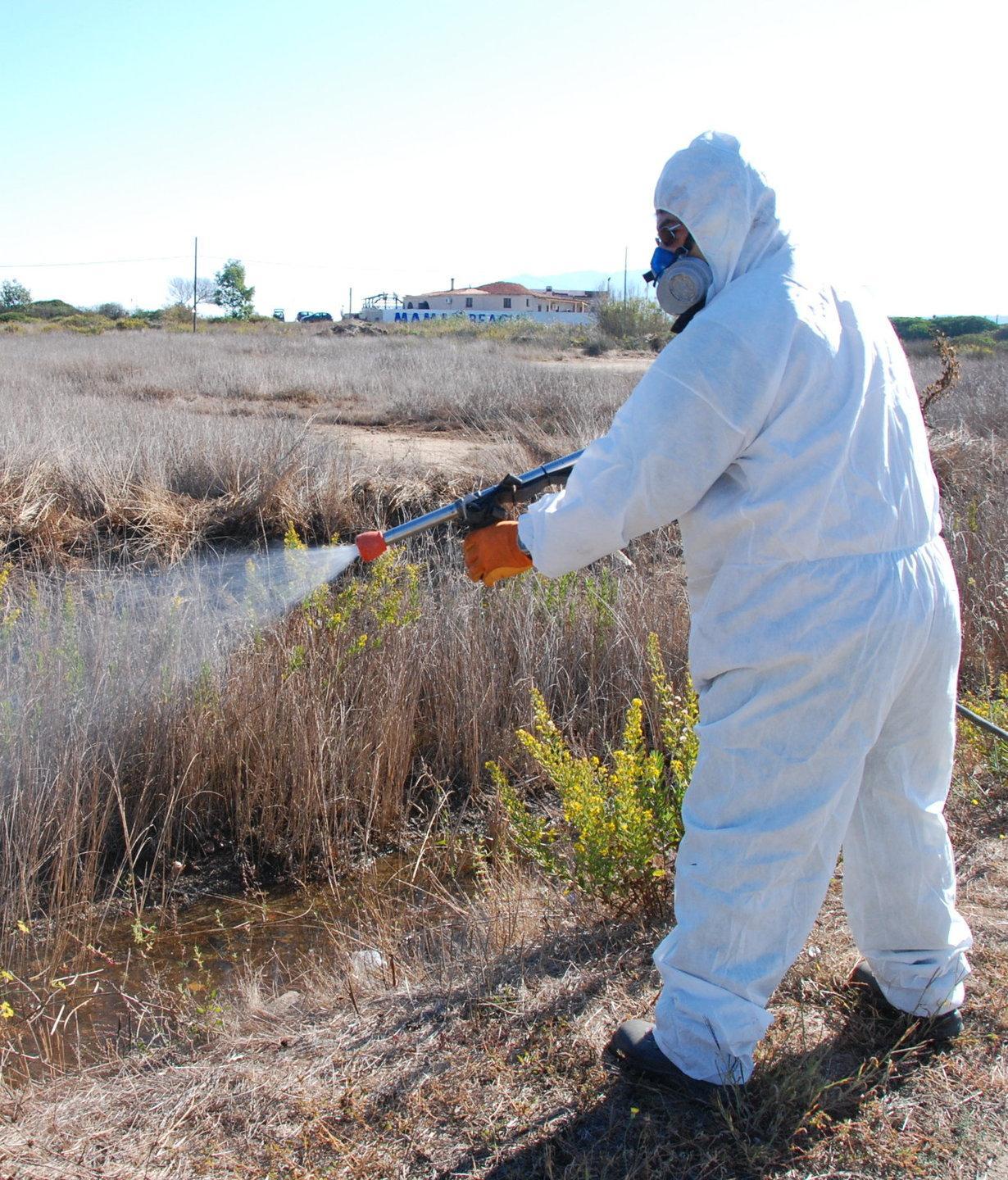 West Nile, altri quattro volatili morti per il virus 