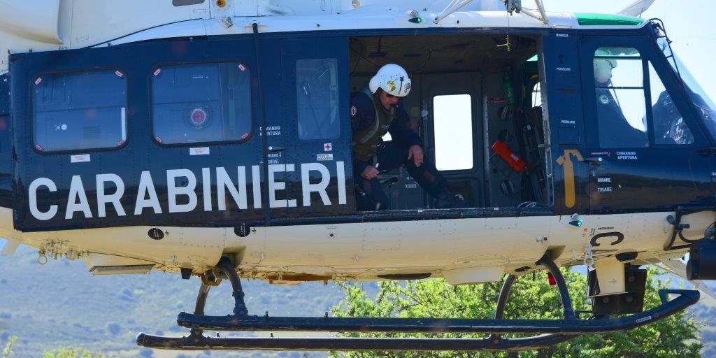 Piante di cannabis alte due metri nella campagna di Ollolai