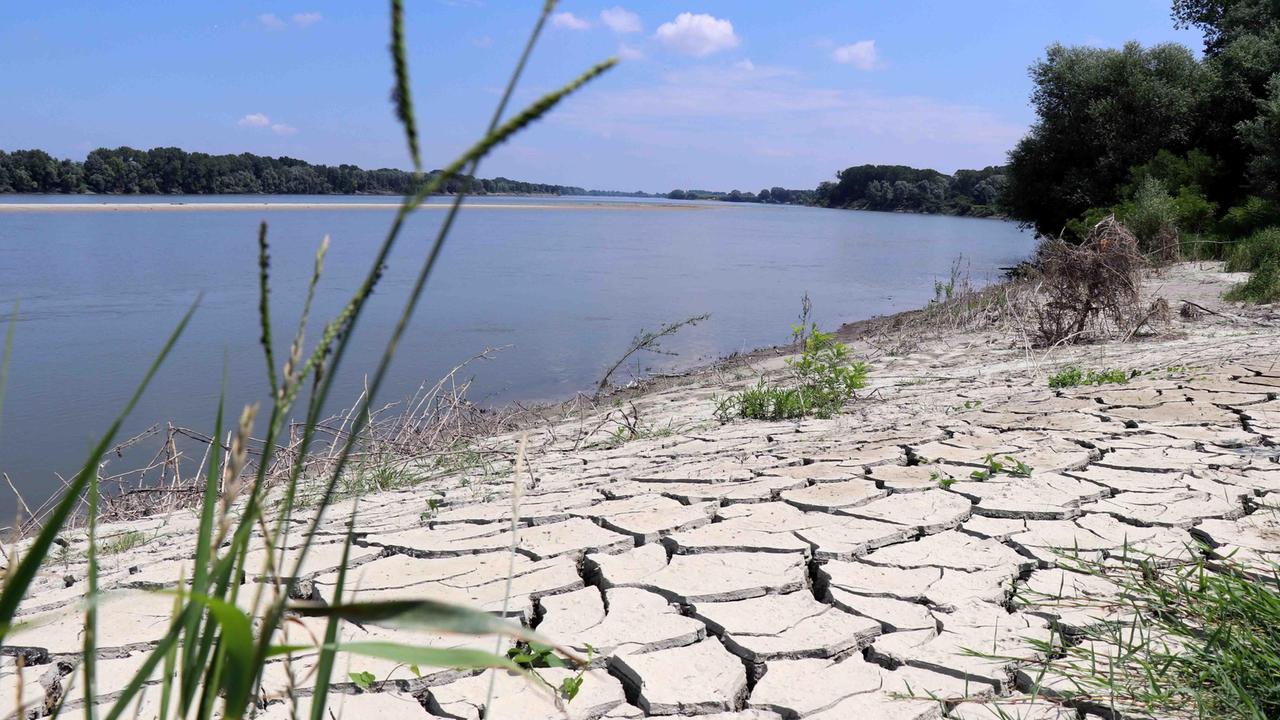 Meteo. Reggio Emilia si sta surriscaldando. E le nebbie sono quasi un ricordo