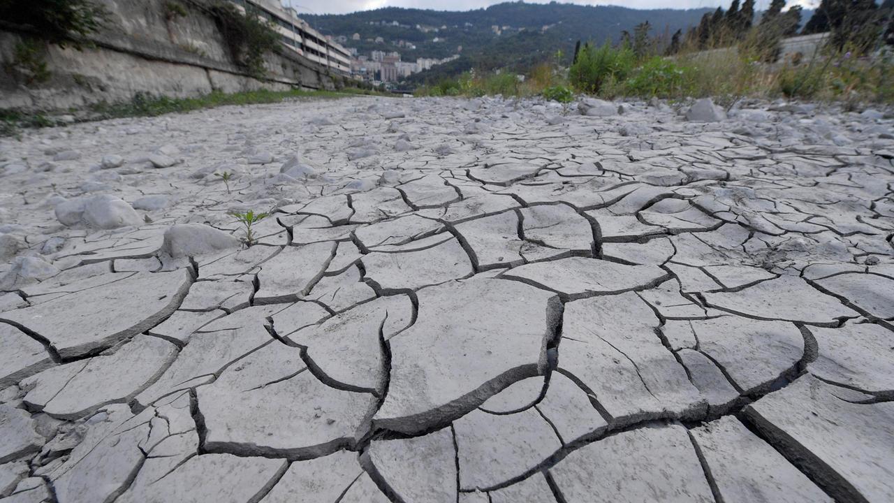 Clima sempre più bollente, Ferrara nella “top ten” in Italia