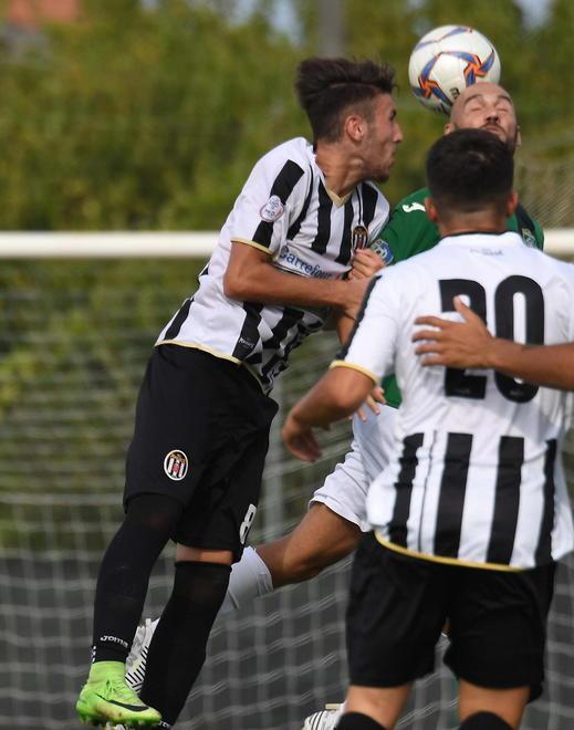 Massese a caccia sul mercato Suggestioni Massoni e Erpen 