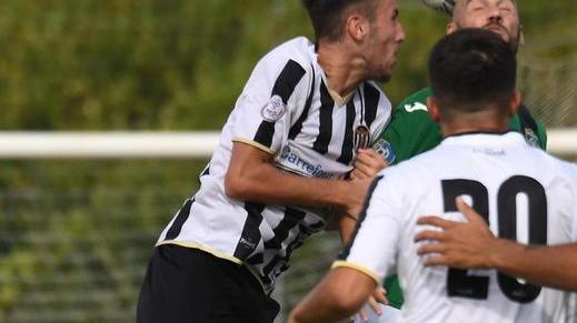 Massese a caccia sul mercato Suggestioni Massoni e Erpen