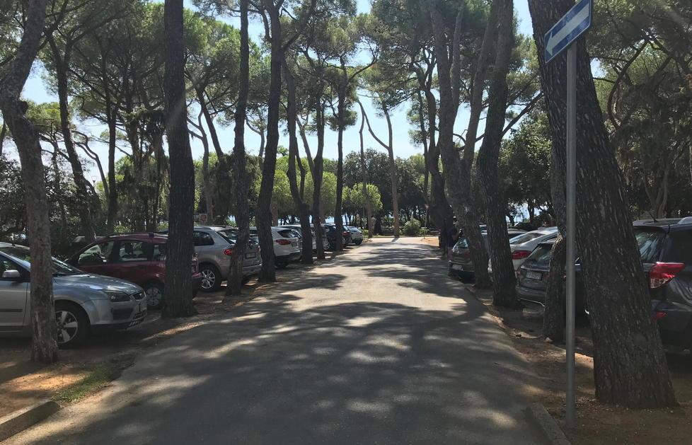 Protestano i residenti «Via le auto dalla pineta» 