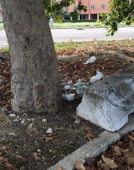 Il circo leva le tende In piazza restano sporcizia e cattivi odori