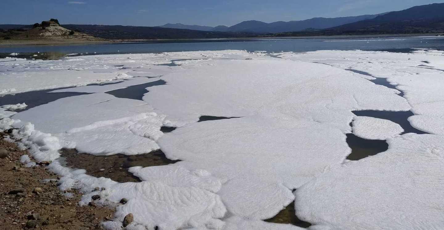 La schiuma del lago causata dalle alghe 