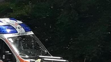 Anziano fungaiolo disperso nei boschi sopra Tenerano Ricerche con i cani