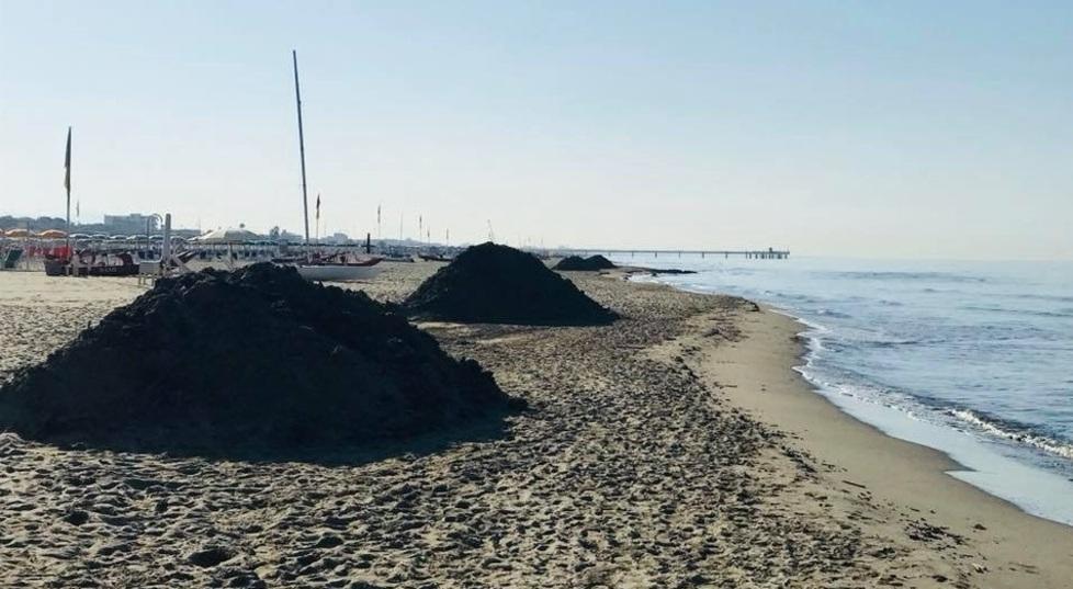Tonnellate di lavarone da togliere dalla spiaggia