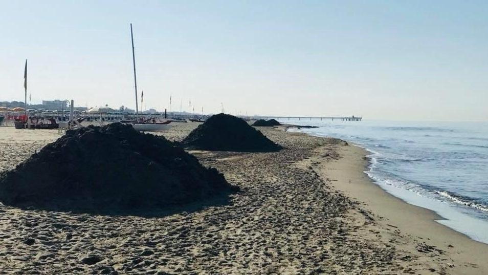 Tonnellate di lavarone da togliere dalla spiaggia