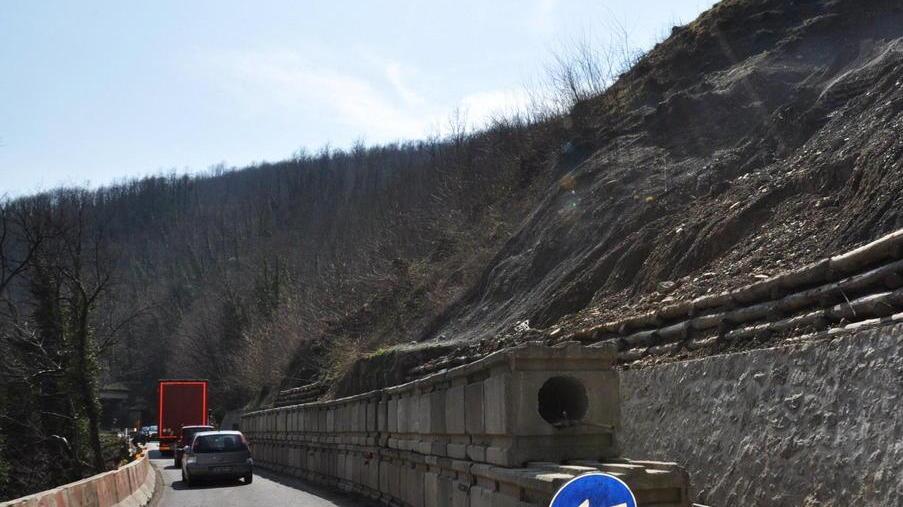 Senso unico alternato col semaforo intelligente sulla Regionale 445