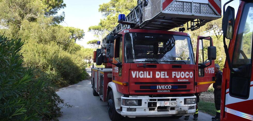 I tre quattrozampe abbaiono, i vicini si allarmano per lui 