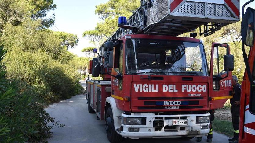 I tre quattrozampe abbaiono, i vicini si allarmano per lui