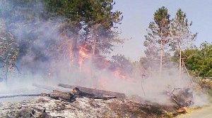 <strong>LE FIAMME.</strong> Hanno distrutto tre ettari di bosco nel quartiere delle Ciaccine a pochi chilometri in linea d’aria dal paese. Il rogo ha sfiorato un gruppo di villette dove vivono diciotto famiglie