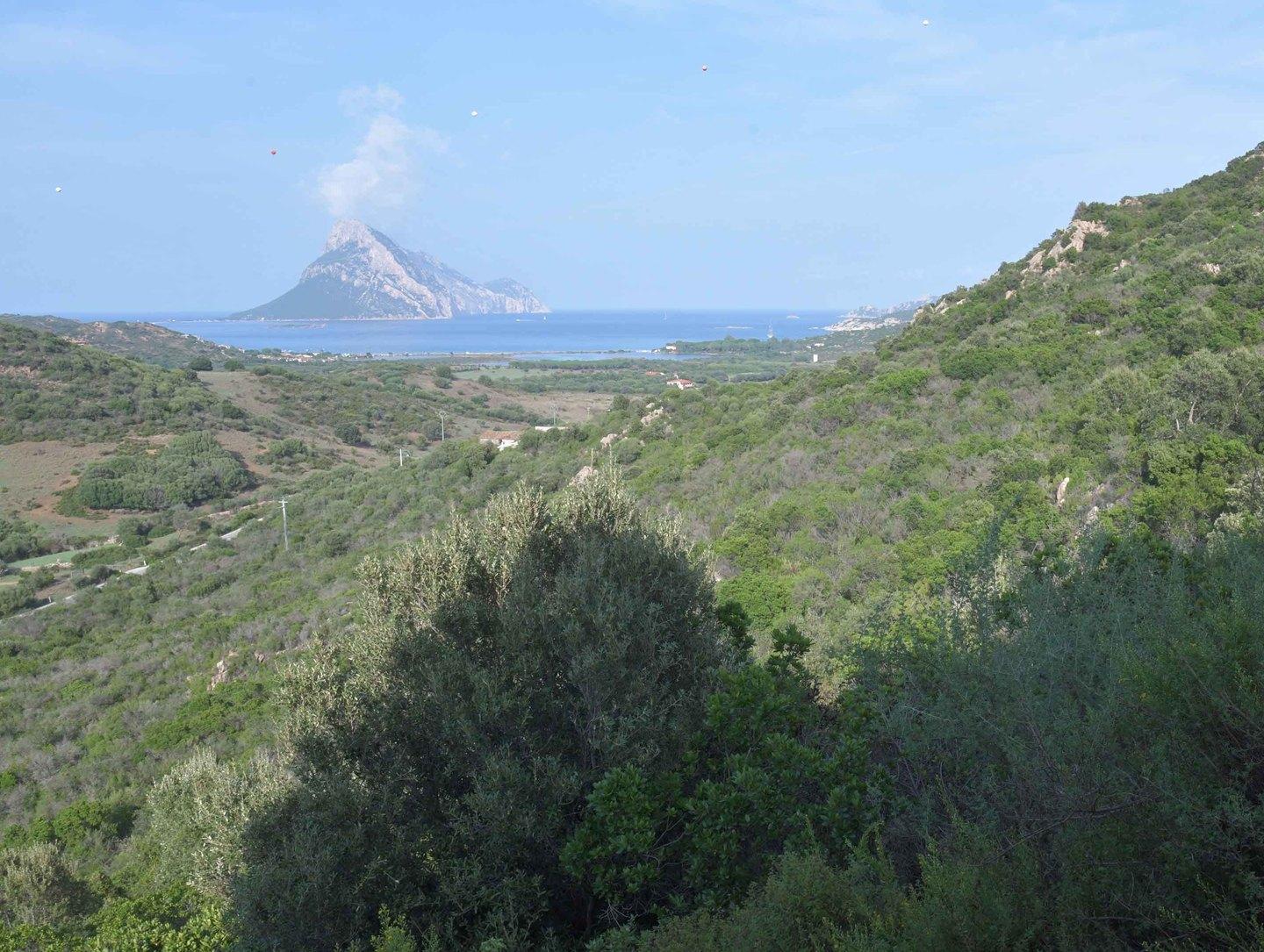 Il sogno di Forestas: inserire Monte Ruju tra i sentieri regionali 