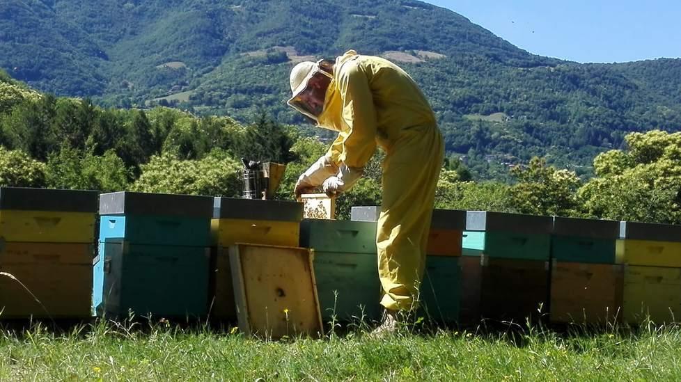 Fanano. L’apicoltore nomade che in montagna crea il “miele del Crinale”  