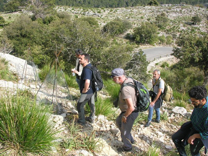 Nel Nuorese tour di scienziati per salvare genziana, astragalo e tante altre specie