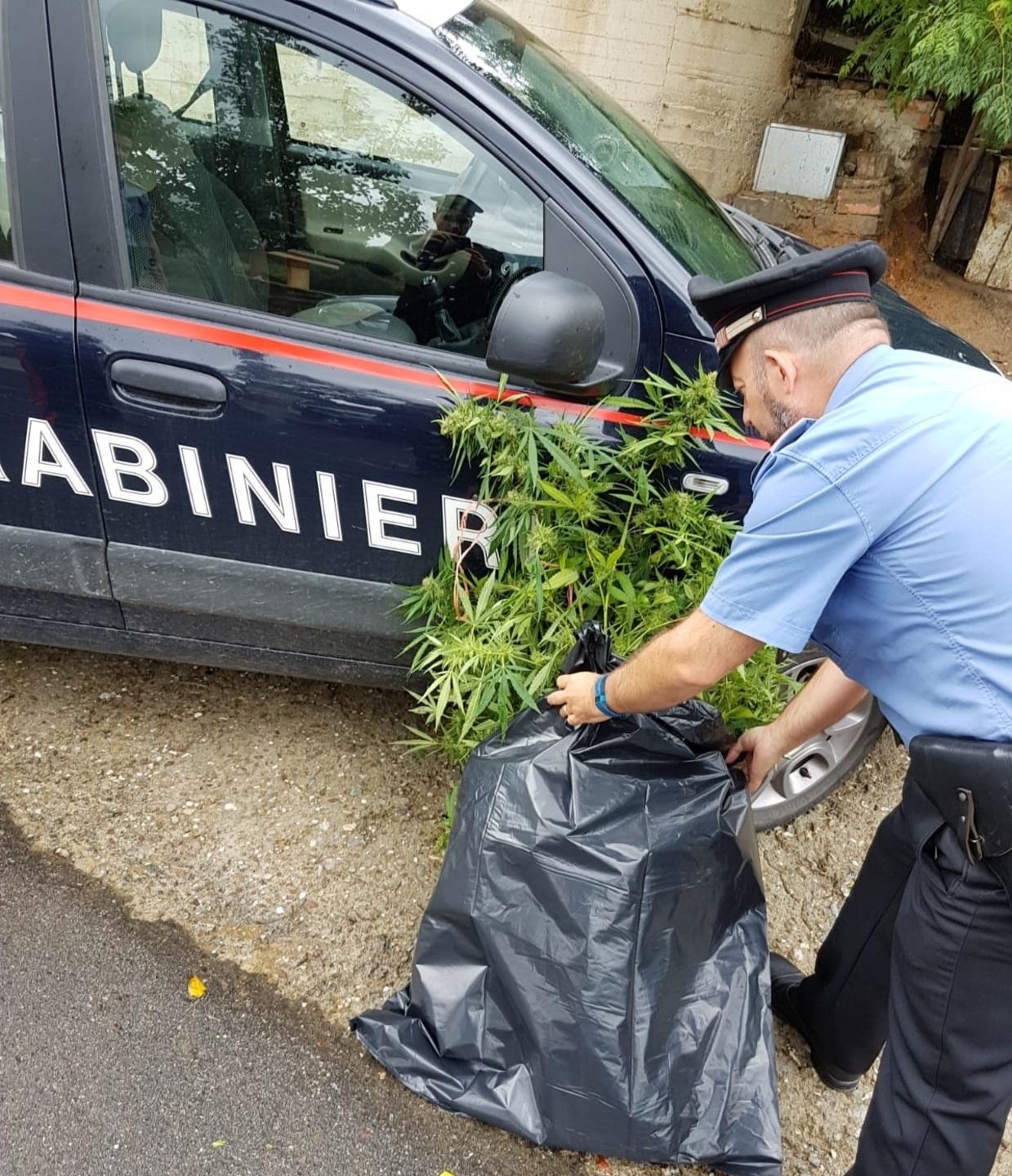 Associazione sportiva evade 1 milione 