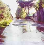 Il fiume di liquami sulla strada