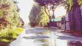 Il fiume di liquami sulla strada