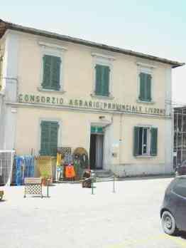 Il Consorzio agrario di Venturina