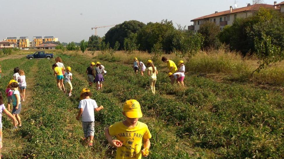 Il parco commestibile a due passi da casa