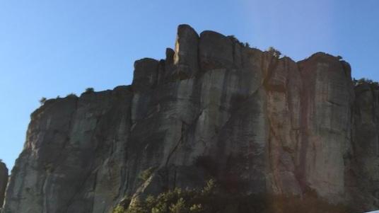 «Senza nuovi volontari sono a rischio i nostri servizi»