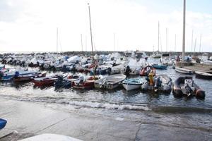Rischia di annegare al moletto di Antignano