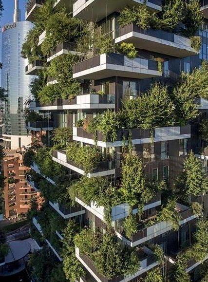 Un albero per ogni pratese Ora ce ne sono 29.000 