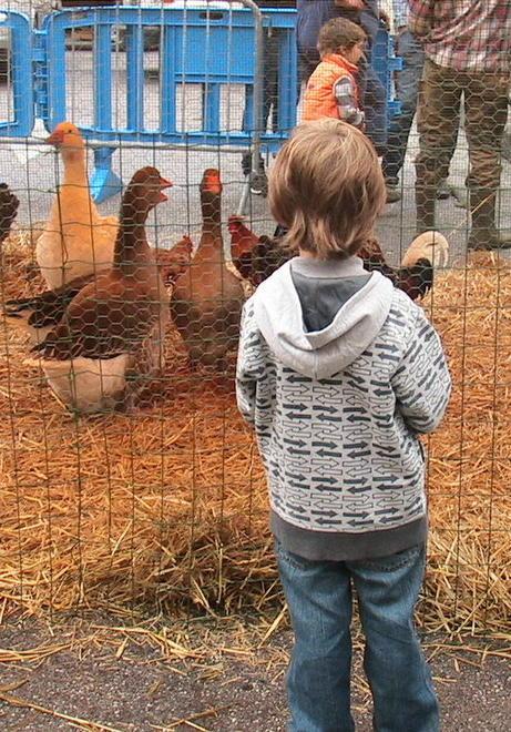 “Campagna in fiera”: esposizione di animali e stand gastronomici 
